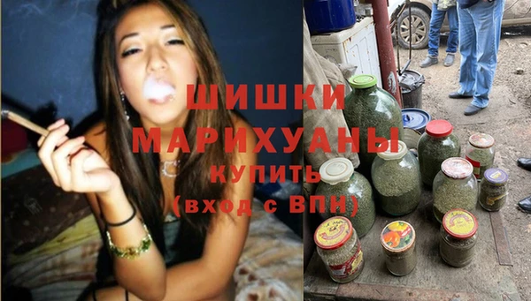 винт Осинники
