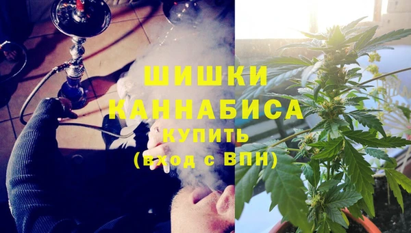 винт Осинники