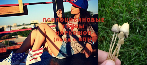 ГАЛЛЮЦИНОГЕННЫЕ ГРИБЫ Тобольск