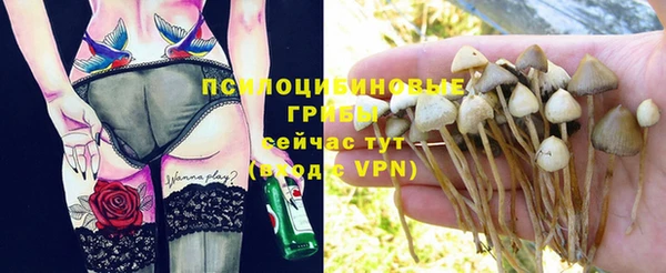 спайс Осташков
