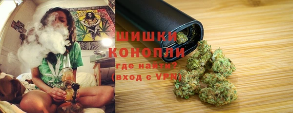 винт Осинники