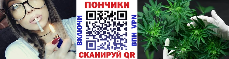 Бошки марихуана гибрид  закладки  блэк спрут вход  Агрыз 